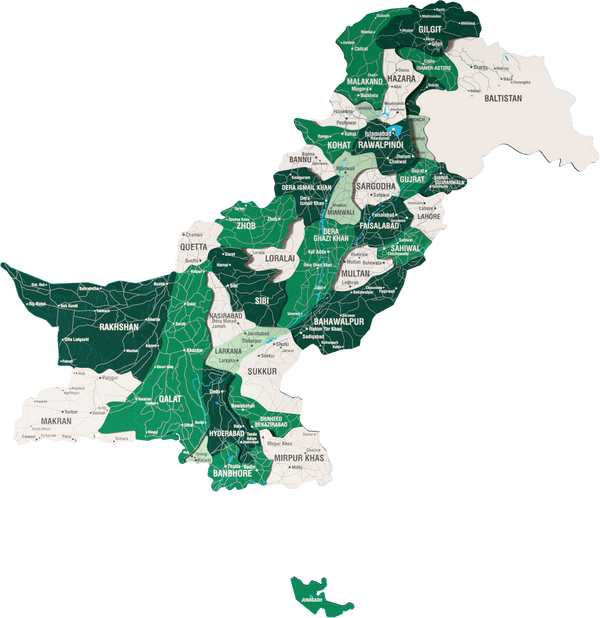 Pakistan Wooden Wall Map - 3D UV Printed Wall Art — size shown to scale on a 4.2 metre wall