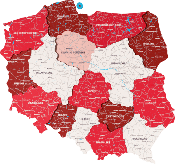 Poland Wooden Wall Map - 3D UV Printed Wall Art — size shown to scale on a 4.2 metre wall