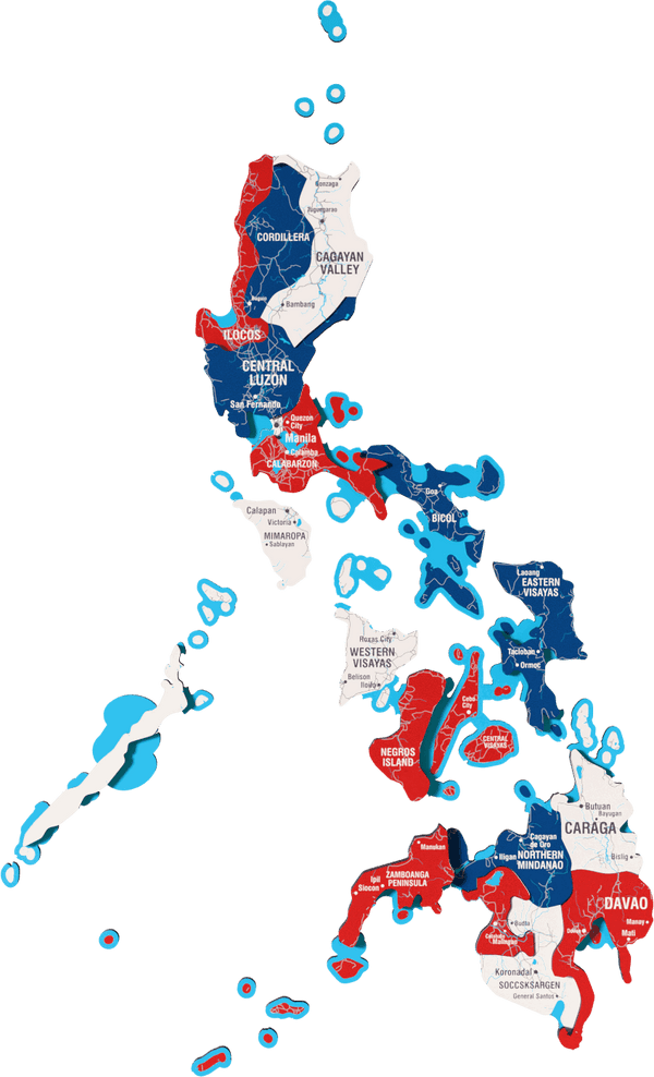 Philippines Wooden Wall Map - 3D UV Printed Wall Art — size shown to scale on a 4.2 metre wall