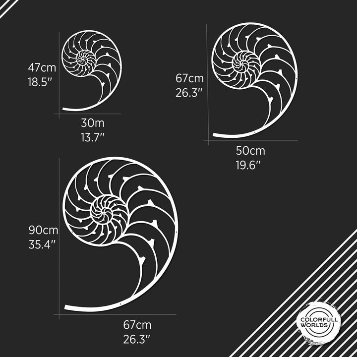 nautilus-and-the-golden-ratio-fibonacci-spiral-unique-modern-metal-wall-art-modern-art-piece-colorfullworlds