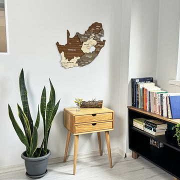 South Africa wooden wall map hung high on a white wall, wide shot with a window edge, plant and shelves