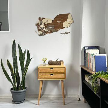 Yemen wooden wall map above a wooden side table with a snake plant and a bookshelf in a white room