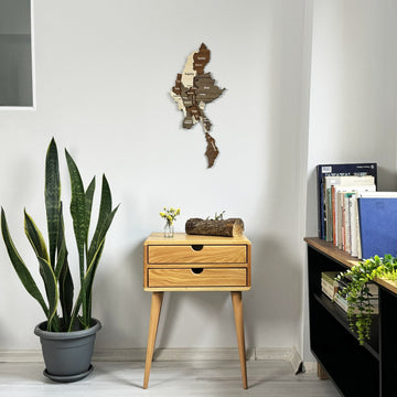 Myanmar wooden wall map on a white wall above a wooden side table, with a snake plant and bookshelf
