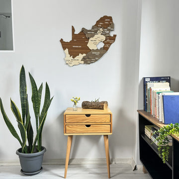 South Africa wooden wall map above a pale wood nightstand, wide view with a snake plant and bookcase