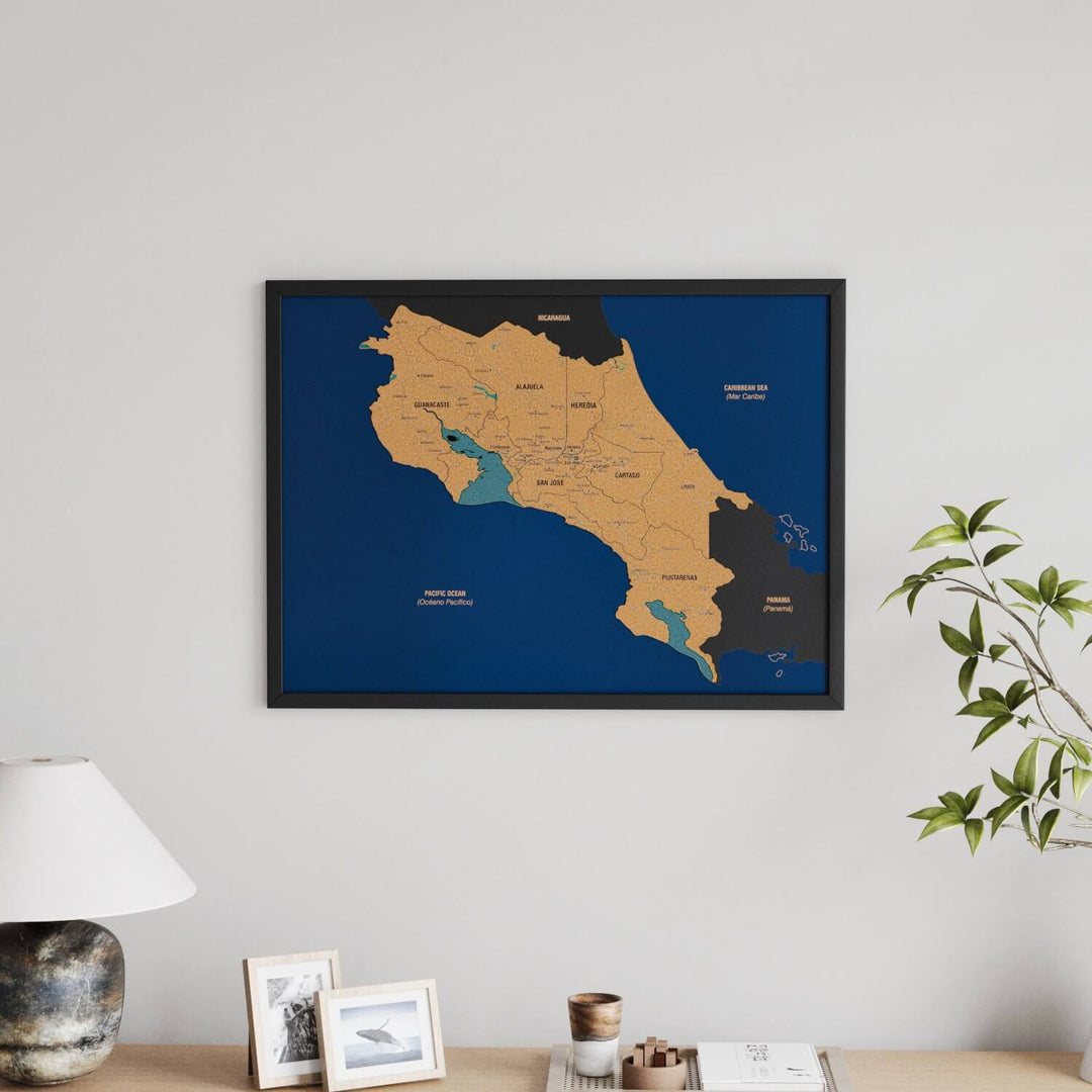 Framed Costa Rica Cork Wall Map Decor