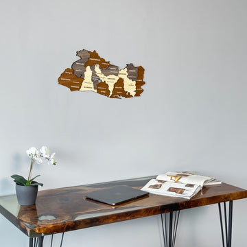 El Salvador wooden wall map above a glossy desk with an orchid, closer crop