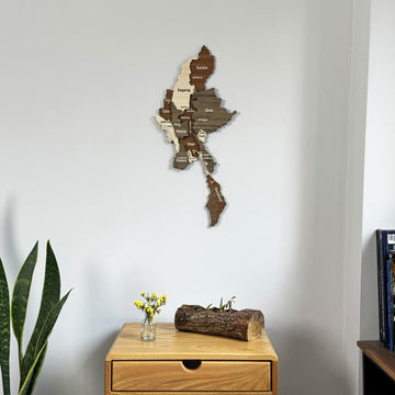 Myanmar wooden wall map above a wooden chest of drawers with a log decor piece and a snake plant