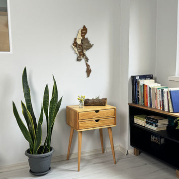 Small Myanmar wooden wall map in a corner with a snake plant, side table, bookshelf and a window