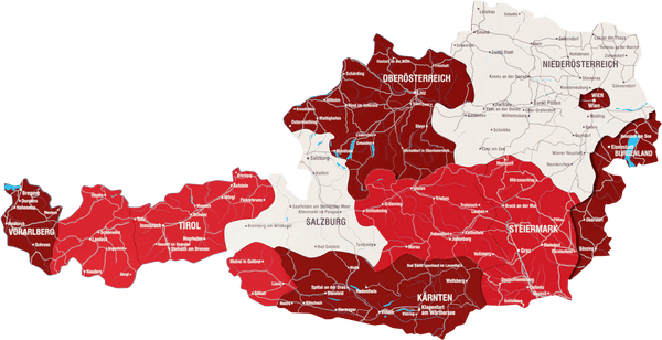 Austria Wooden Wall Map - 3D UV Printed Wall Art &mdash; size  shown to scale on a 4.2 metre wall