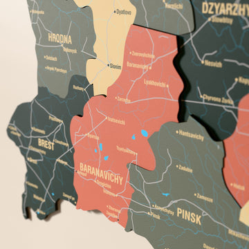 Close-up of the Sage Belarus wooden wall map with layered regions and printed names