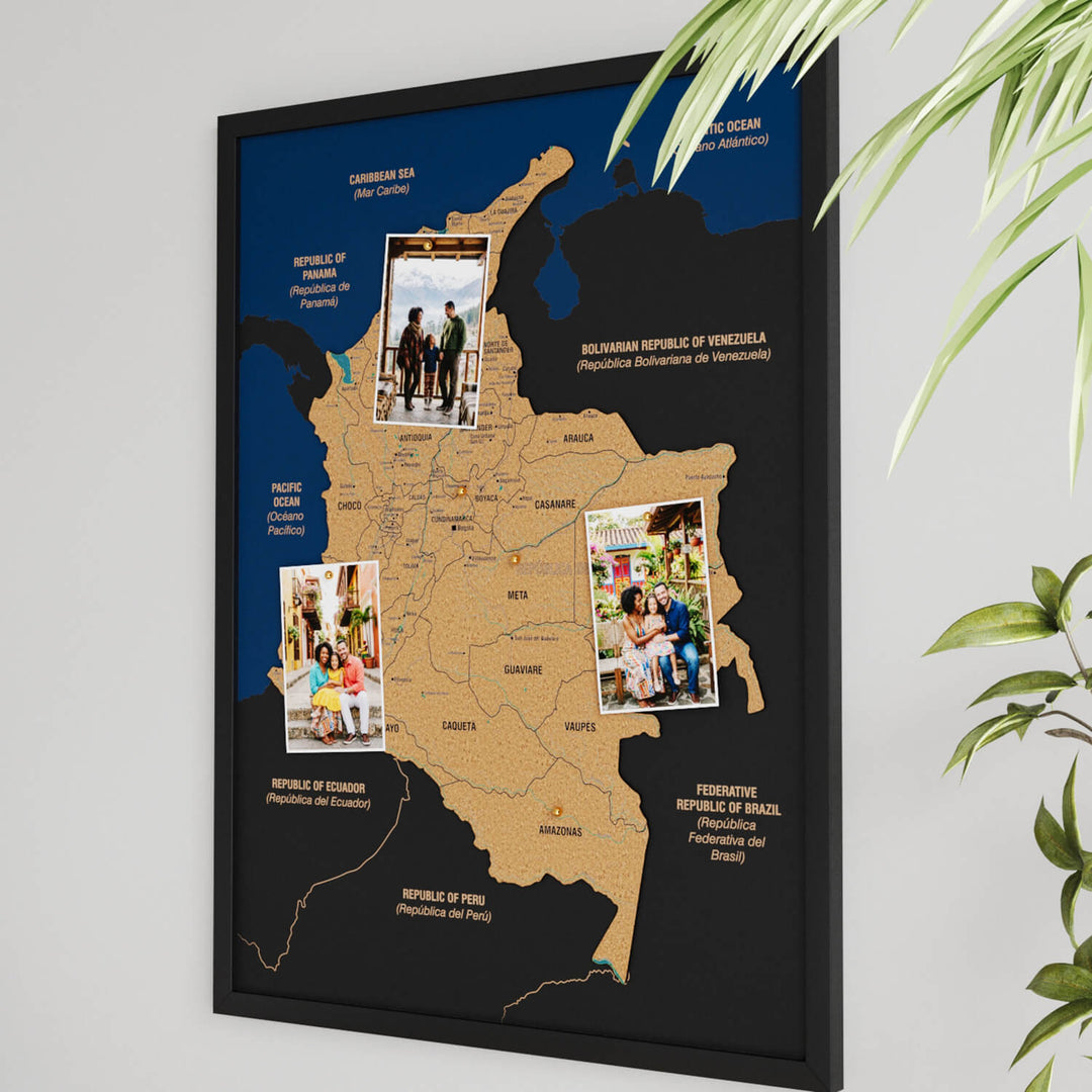 Framed Colombia Cork Map Wall Decor