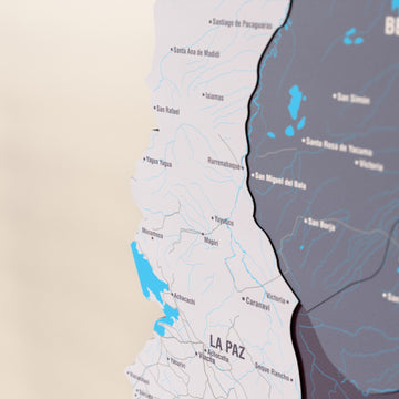 Close-up of the Nimbus Bolivia wooden wall map with layered regions and printed names