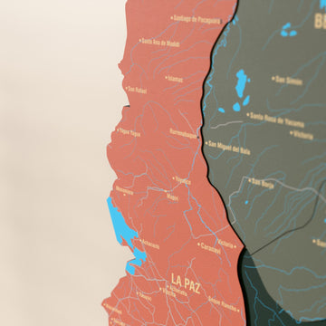 Close-up of the Sage Bolivia wooden wall map with layered regions and printed names