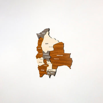Bolivia wood wall map on a white wall, slightly angled view from the left