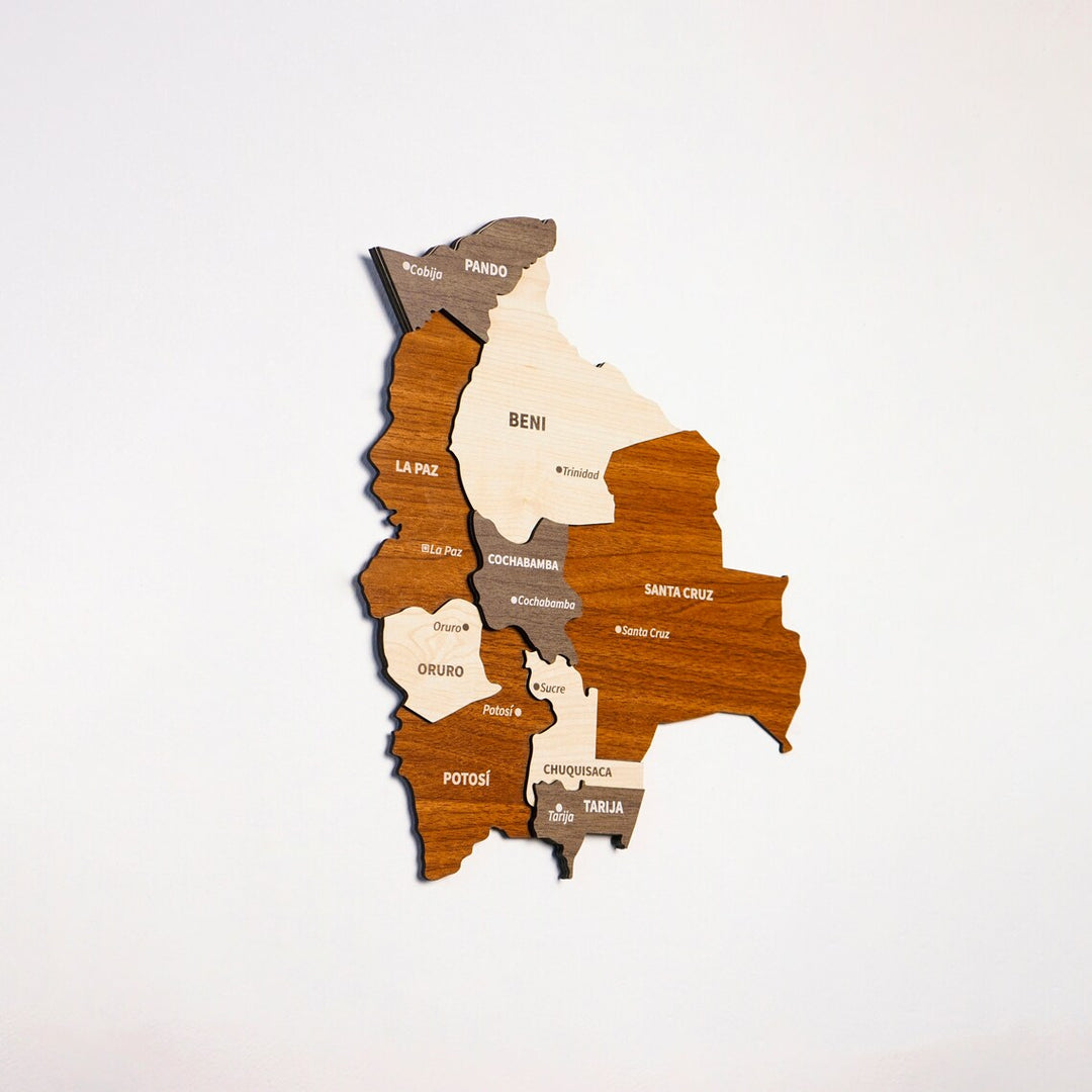 Wooden Bolivia map seen from a distance on a white wall, multicolor layers