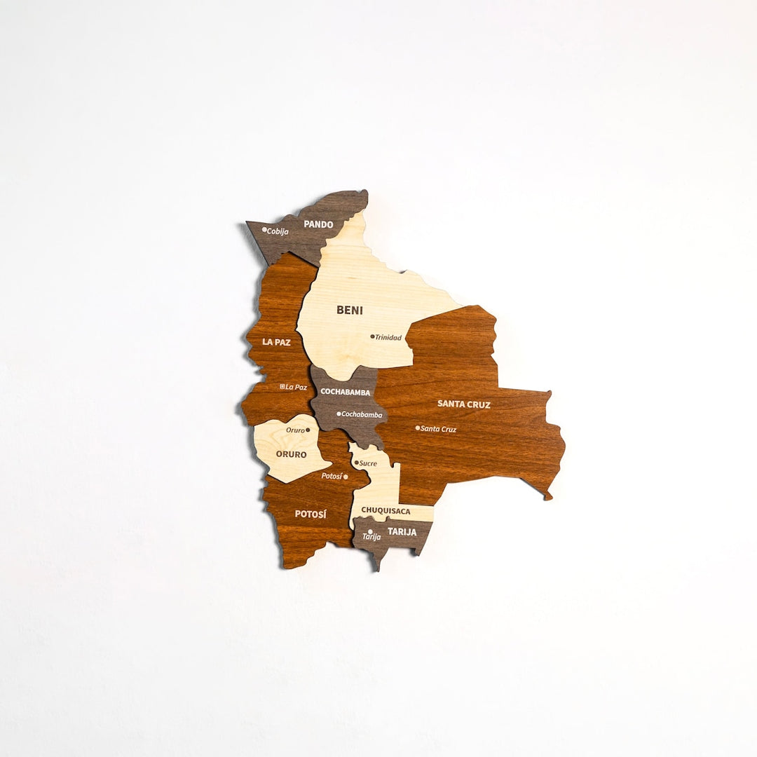 Wooden Bolivia wall map with department names in brown, cream and gray layers, front view