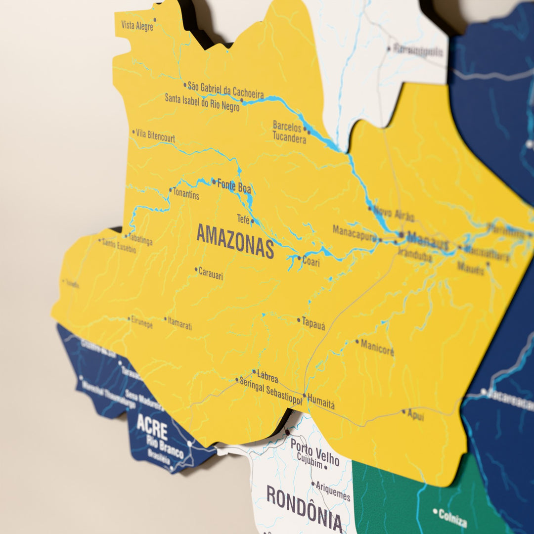 Close-up of the Flag colored Brazil wooden wall map with layered regions and printed names