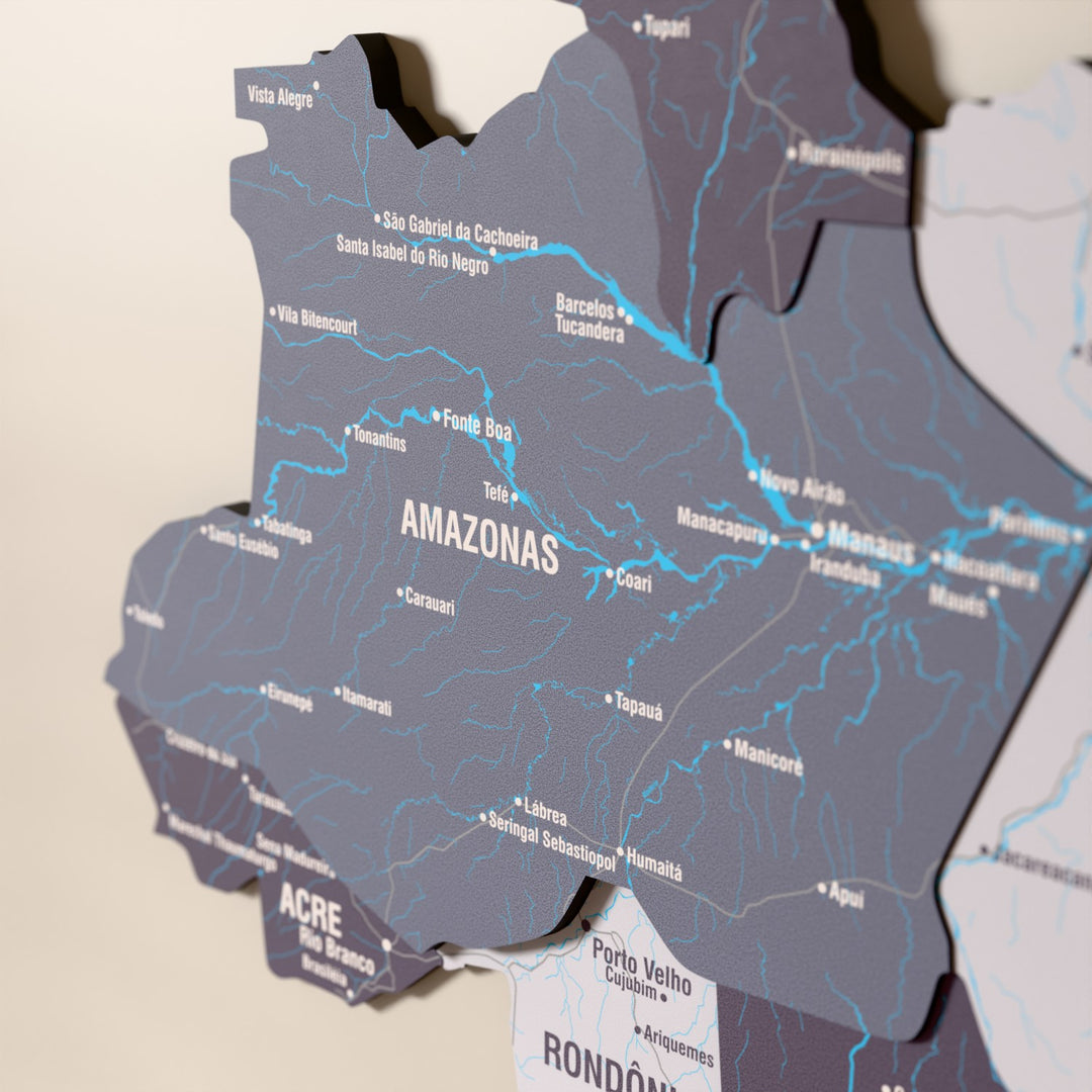 Close-up of the Nimbus Brazil wooden wall map with layered regions and printed names