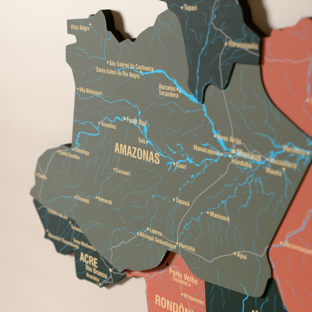 Close-up of the Sage Brazil wooden wall map with layered regions and printed names