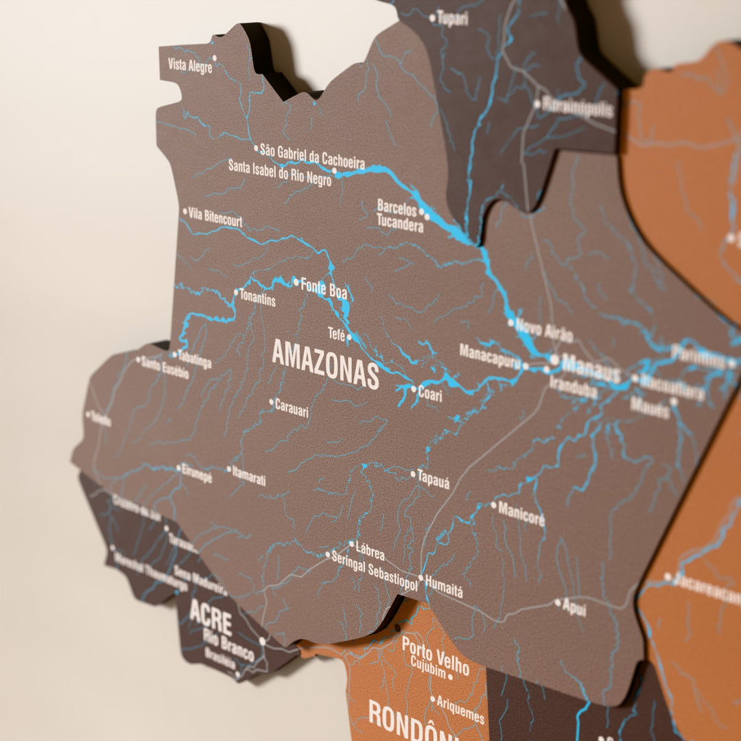 Close-up of the Soil Brazil wooden wall map with layered regions and printed names