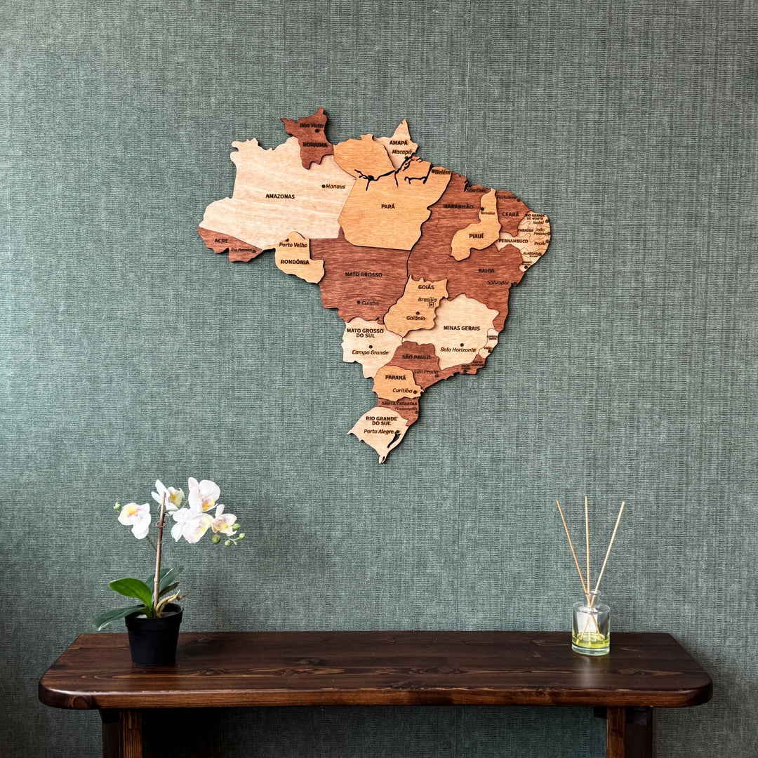 Wooden Brazil map on a green textured wall above a dark console with an orchid
