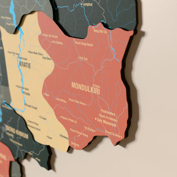 Close-up of the Sage Cambodia wooden wall map with layered regions and printed names