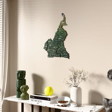 Satellite Cameroon wooden wall map beside a sheer curtain, angled view