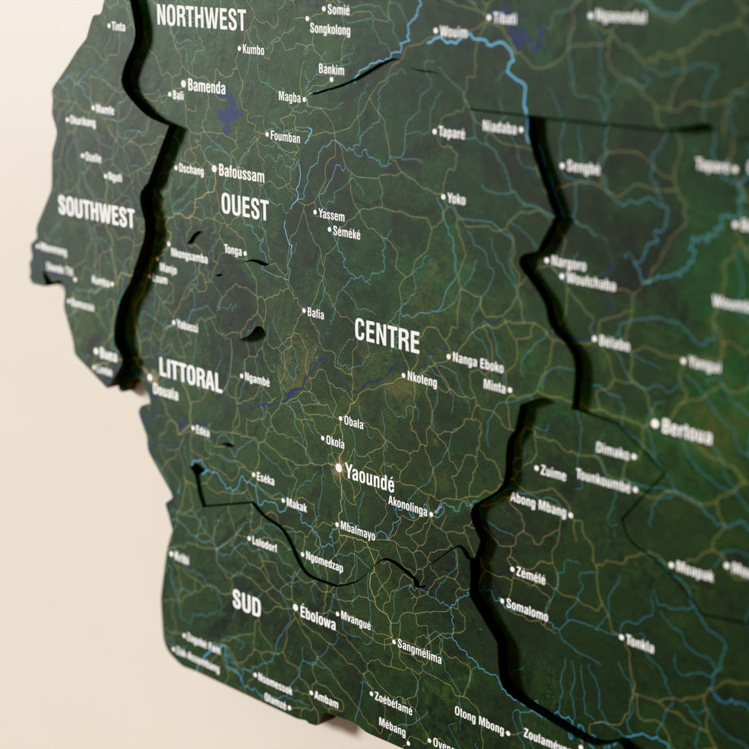 Close-up of the Satellite Cameroon wooden wall map with layered regions and printed names