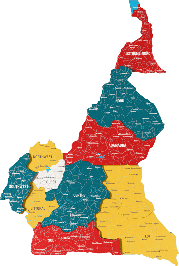 Cameroon Wooden Wall Map - 3D UV Printed Wall Art &mdash; size  shown to scale on a 4.2 metre wall