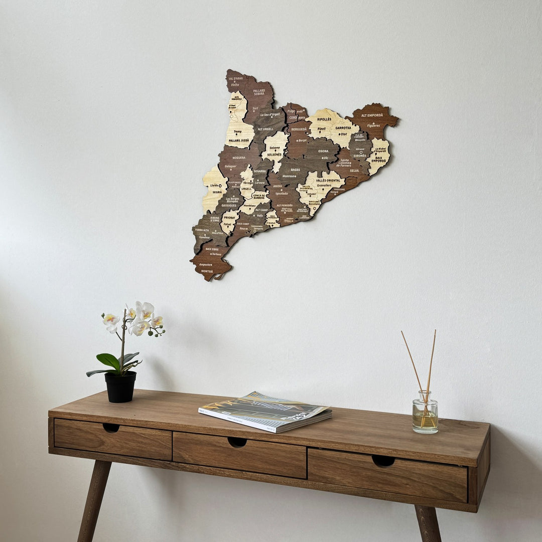 Catalonia wood map above a drawer console with an open book, closer crop