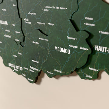 Close-up of the Satellite Central African Republic wooden wall map with layered regions and printed names