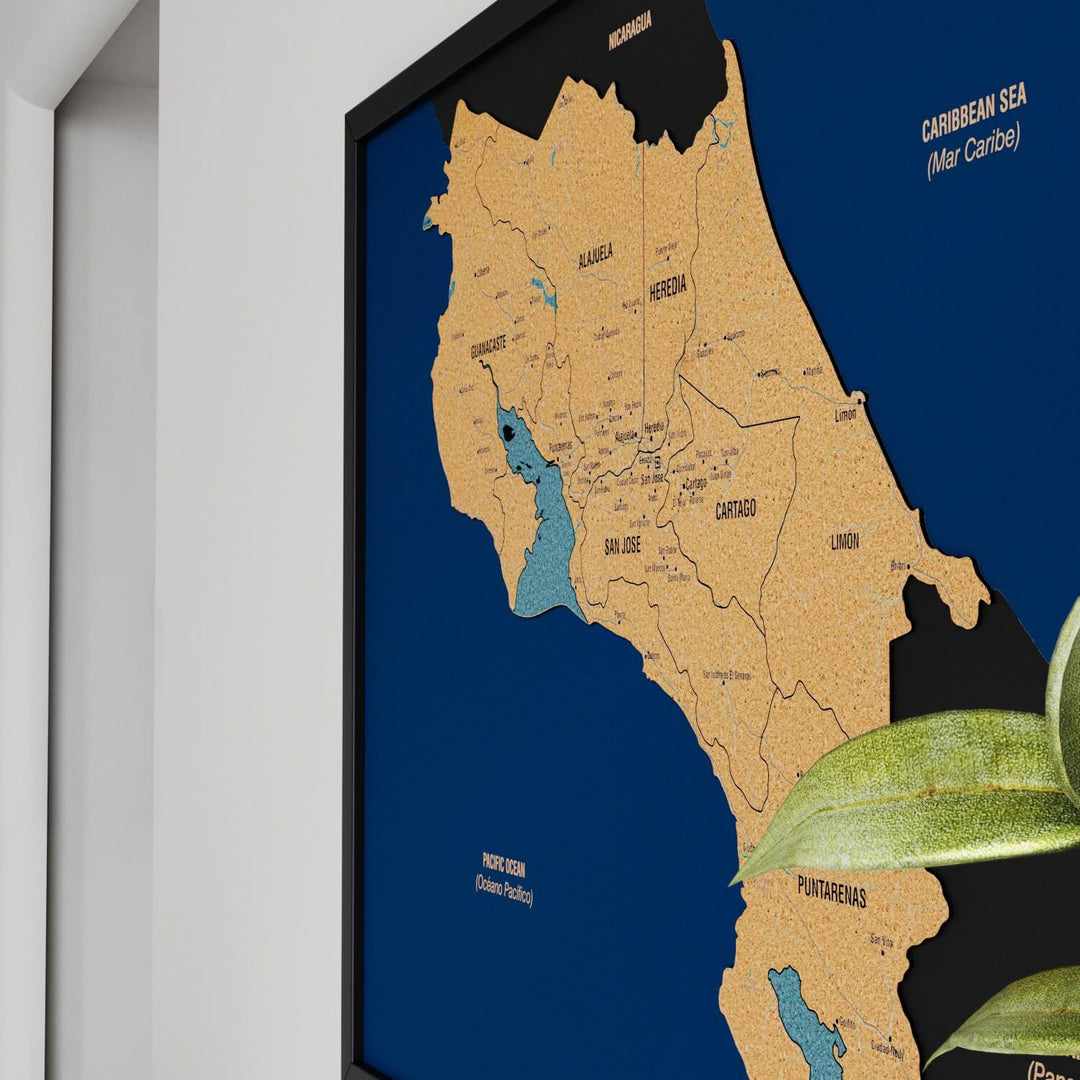 Framed Costa Rica Cork Wall Map Decor