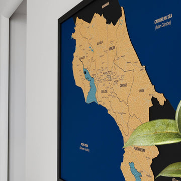 Framed Costa Rica Cork Wall Map Decor