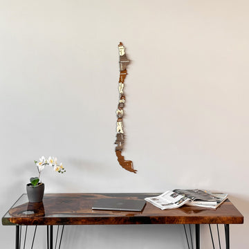 Wooden Chile map hanging above a dark desk with an orchid