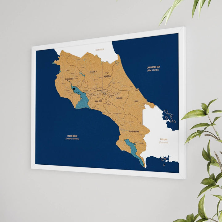 Framed Costa Rica Cork Wall Map Decor