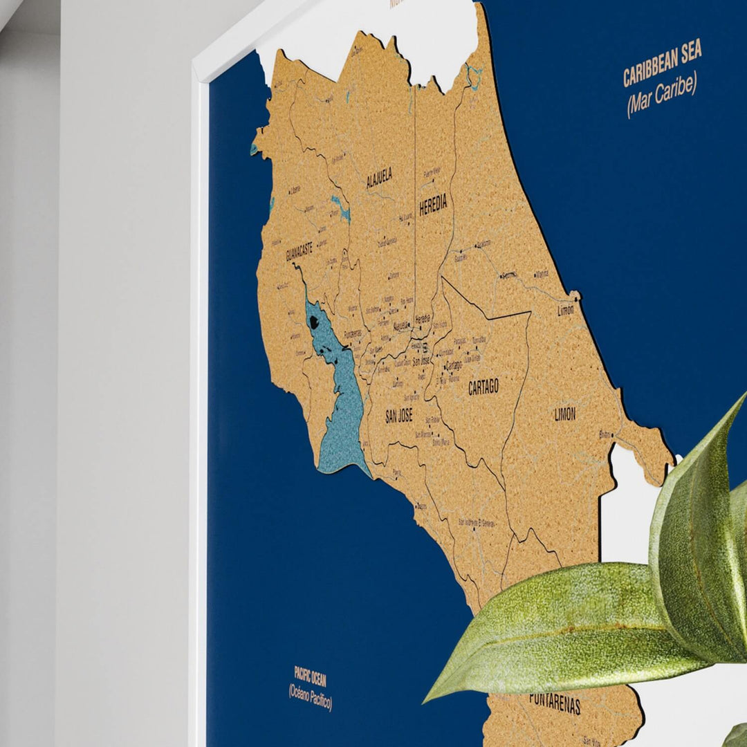 Framed Costa Rica Cork Wall Map Decor