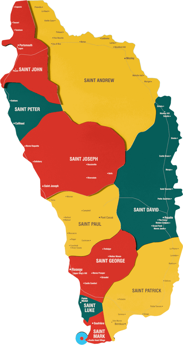 Dominica Wooden Wall Map - 3D UV Printed Wall Art &mdash; size  shown to scale on a 4.2 metre wall