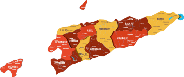 East Timor Wooden Wall Map - 3D UV Printed Wall Art &mdash; size  shown to scale on a 4.2 metre wall