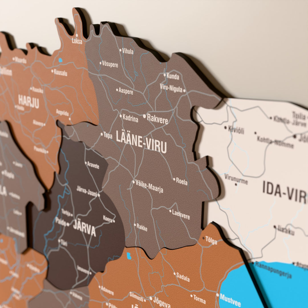 Close-up of the Soil Estonia wooden wall map with layered regions and printed names