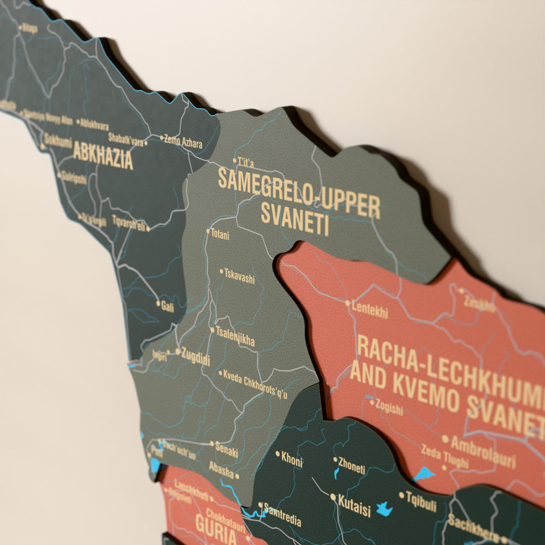Close-up of the Sage Georgia wooden wall map with layered regions and printed names