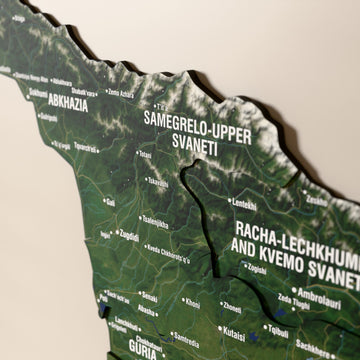 Close-up of the Satellite Georgia wooden wall map with layered regions and printed names
