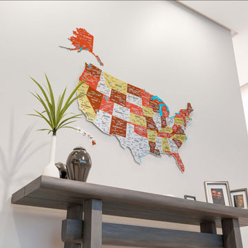 Terracotta metal USA wall map seen from a low angle with a plant on the console below