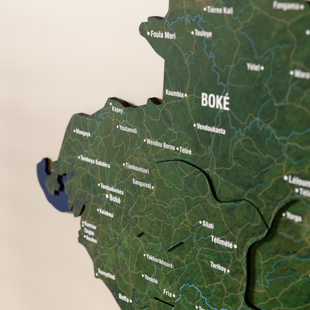 Close-up of the Satellite Guinea wooden wall map with layered regions and printed names