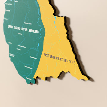 Close-up of the Flag colored Guyana wooden wall map with layered regions and printed names