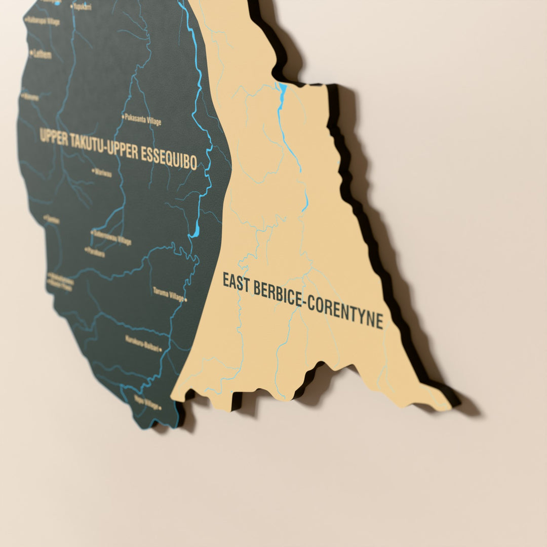 Close-up of the Sage Guyana wooden wall map with layered regions and printed names
