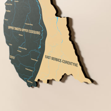 Close-up of the Sage Guyana wooden wall map with layered regions and printed names