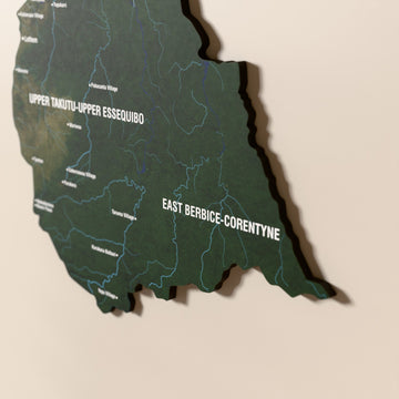 Close-up of the Satellite Guyana wooden wall map with layered regions and printed names