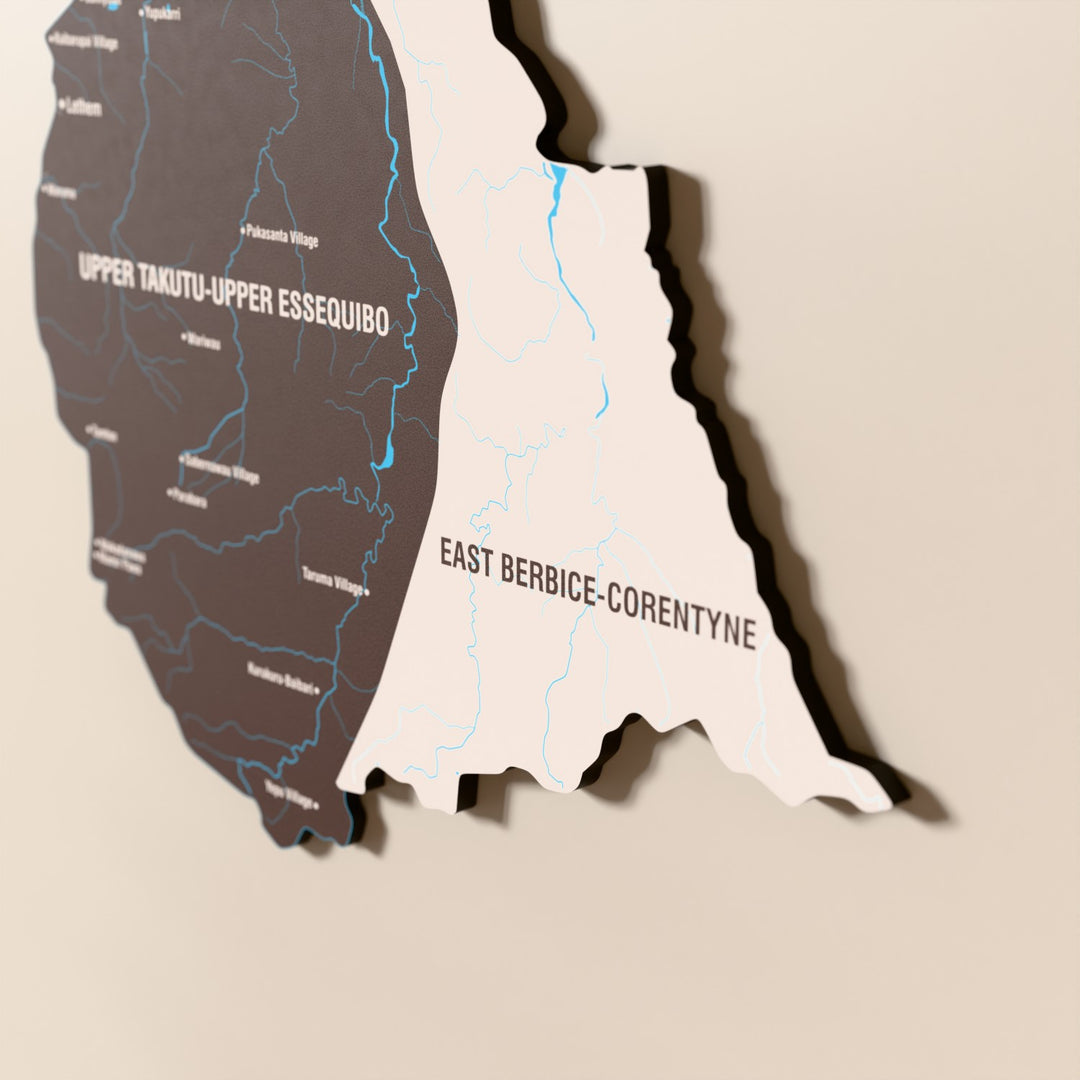 Close-up of the Soil Guyana wooden wall map with layered regions and printed names