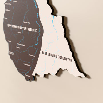 Close-up of the Soil Guyana wooden wall map with layered regions and printed names