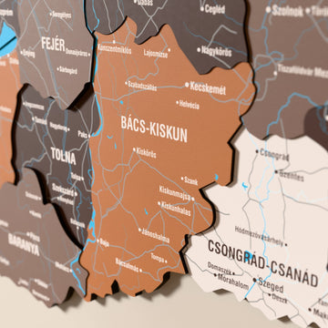 Close-up of the Soil Hungary wooden wall map with layered regions and printed names